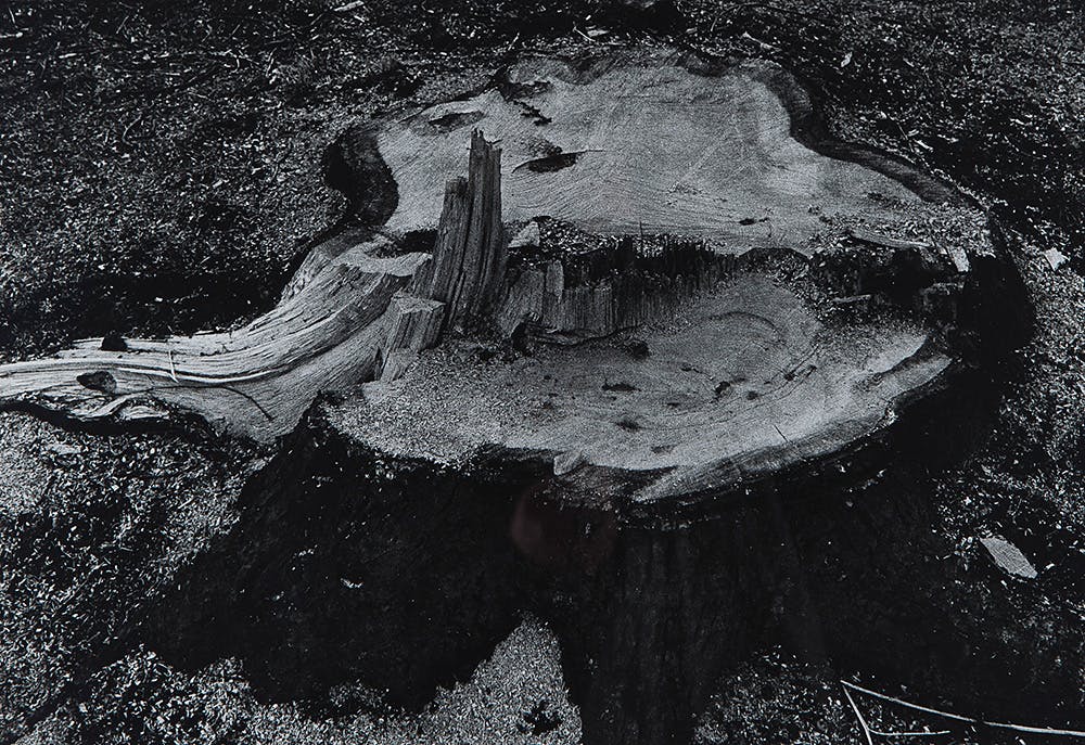 Bert Vlijm - Fotoprint - Zonder titel kopen? Bied vanaf 10!