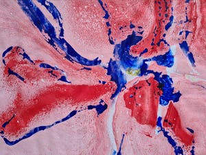 Theo Niermeijer - Ferroprint 2 kopen? Bied vanaf 1!