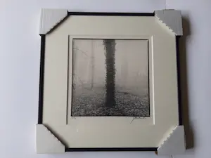 Ralph Janowski - 3 werken, van Ralph Janowski, Boom in de ochtend mist nieuw ingelijst kopen? Bied vanaf 100!