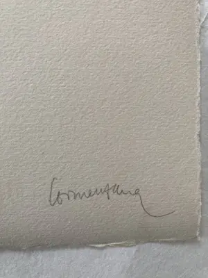 Enric Cormenzana - Pas de Dansa 1, Farblithografie, signiert, nummeriert kopen? Bied vanaf 40!