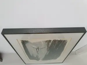 Wally Elenbaas - Koorddanser kopen? Bied vanaf 180!