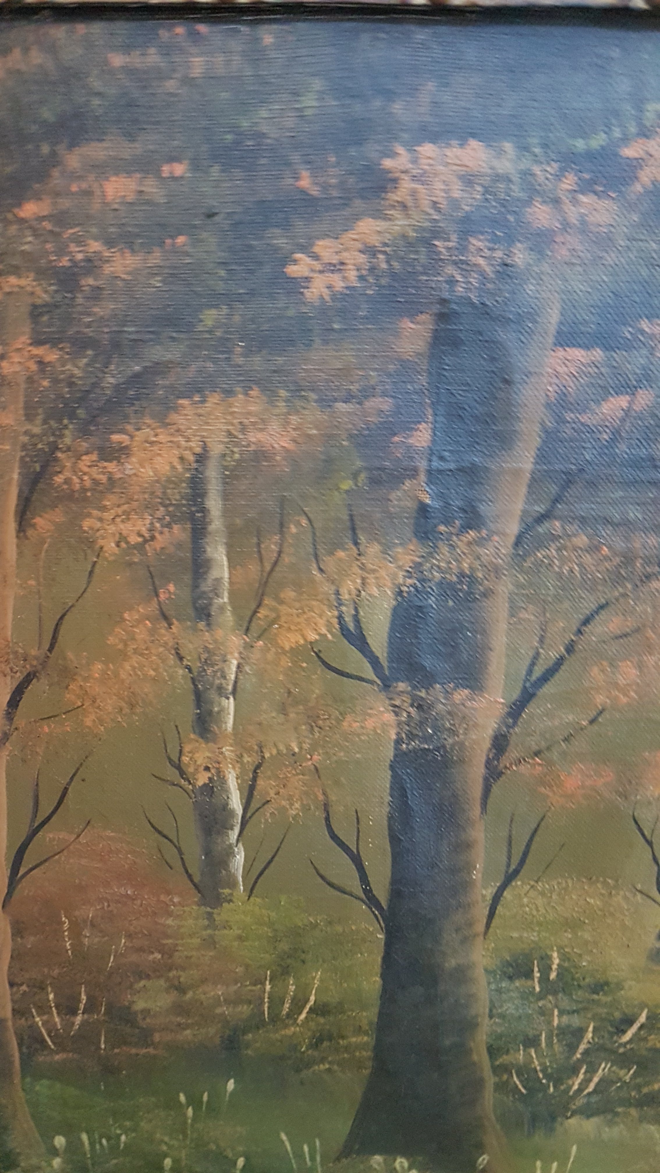 Niet of onleesbaar gesigneerd - Zwaan  kopen? Bied vanaf 1!