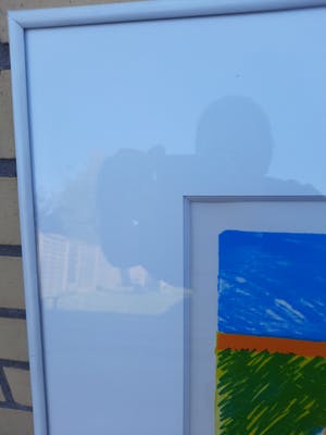 Jan Cremer - KOE MET HOOIMIJTEN kopen? Bied vanaf 299!