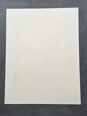 Jeroen Henneman - Groot in 1988 gemaakt kleuren litho "Het atelier in de Vossiusstraat" kopen? Bied vanaf 125!