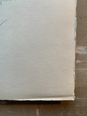 Kees van Dongen - La Seine ou la Sirene , Litho kopen? Bied vanaf 450!