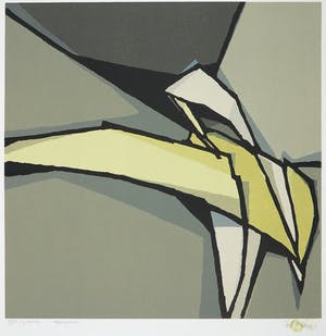 Fon Klement - Boardsnede, Defrinpoler kopen? Bied vanaf 50!