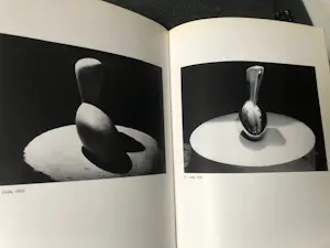 Constantin Brancusi - photographe kopen? Bied vanaf 150!