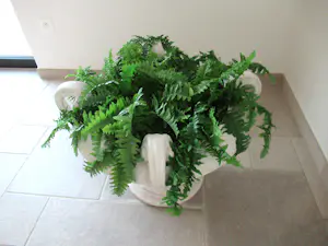 Paolo Marioni - Classic Collection pot / coupe / tafel kopen? Bied vanaf 650!