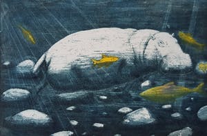 Niet of onleesbaar gesigneerd - Nijlpaard kopen? Bied vanaf 1!