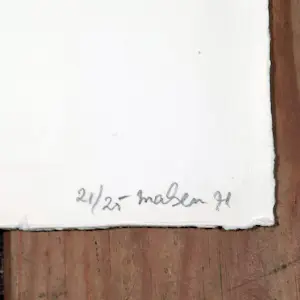 Willem van Malsen - zeefdruk - Zonder Titel 21/25 - ingelijst - 25775 kopen? Bied vanaf 100!