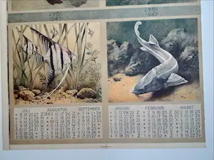 Jan Voerman (jr.) - kalender 1947 - ongesneden blad kopen? Bied vanaf 1!