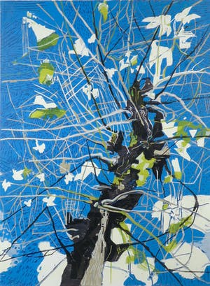 Vincent van Ojen - Houtsnede, Boom - Ingelijst (Groot) kopen? Bied vanaf 100!