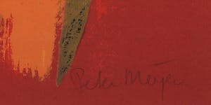 Peter Meijer - Zeefdruk, In het voorbijgaan - Ingelijst ( Groot) kopen? Bied vanaf 50!