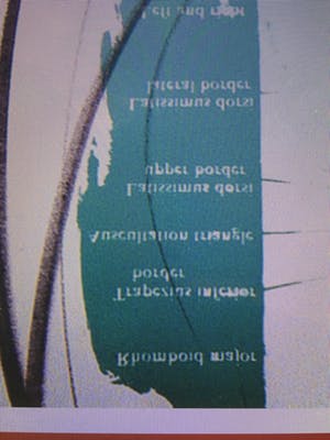 Jos van Doorn - K + VS 217 kopen? Bied vanaf 50!