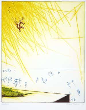 Ronald Tolman - kleurenets - Ikaros - 1992 verkocht voor € 95!