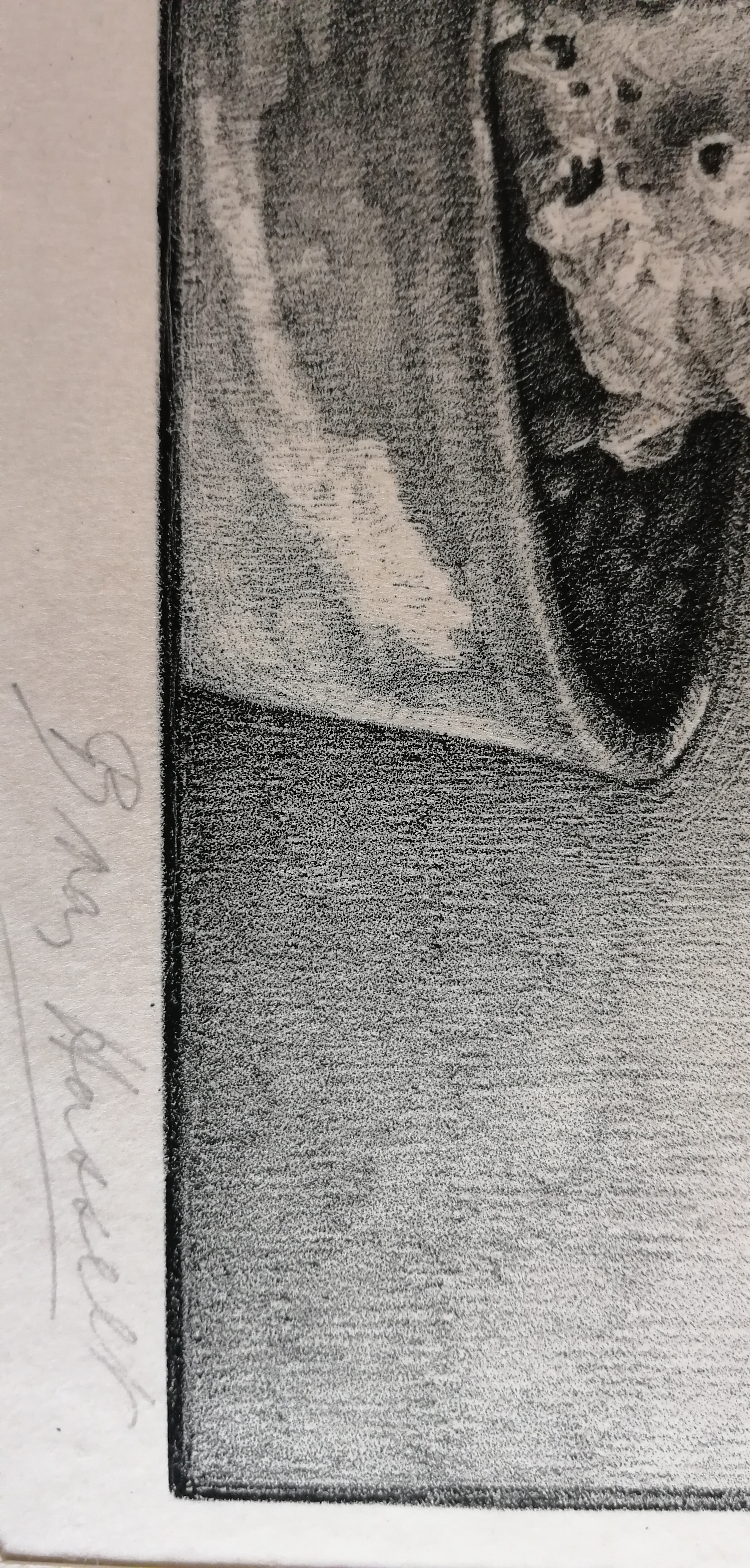 Bertha van Hasselt - Cactussen kopen? Bied vanaf 30!