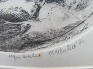 Ton Diekstra - Kuiken in ei kopen? Bied vanaf 55!