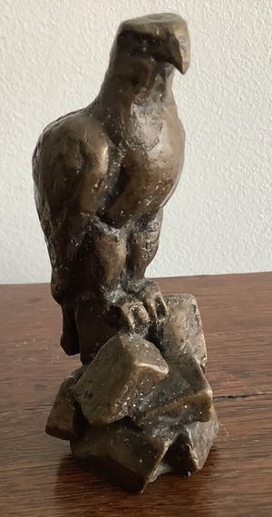 Brons (Onbekend) - Roofvogel kopen? Bied vanaf 150!