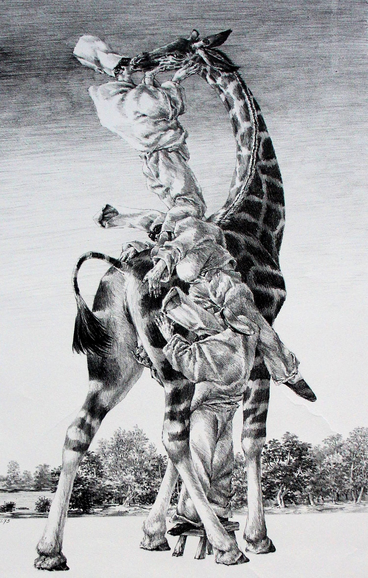 Peter Vos - Litho: gevoel verkocht voor € 150!