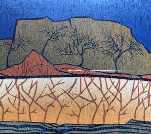 Antje Veldstra - Nieuw hout kopen? Bied vanaf 50!