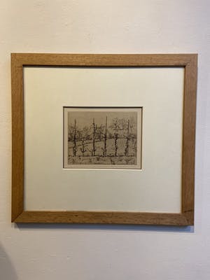 Walter Vaes - Agriculteur sur la Terre kopen? Bied vanaf 1!