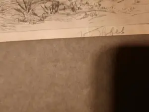 Joan Francois Obbes - Boshuis kopen? Bied vanaf 40!