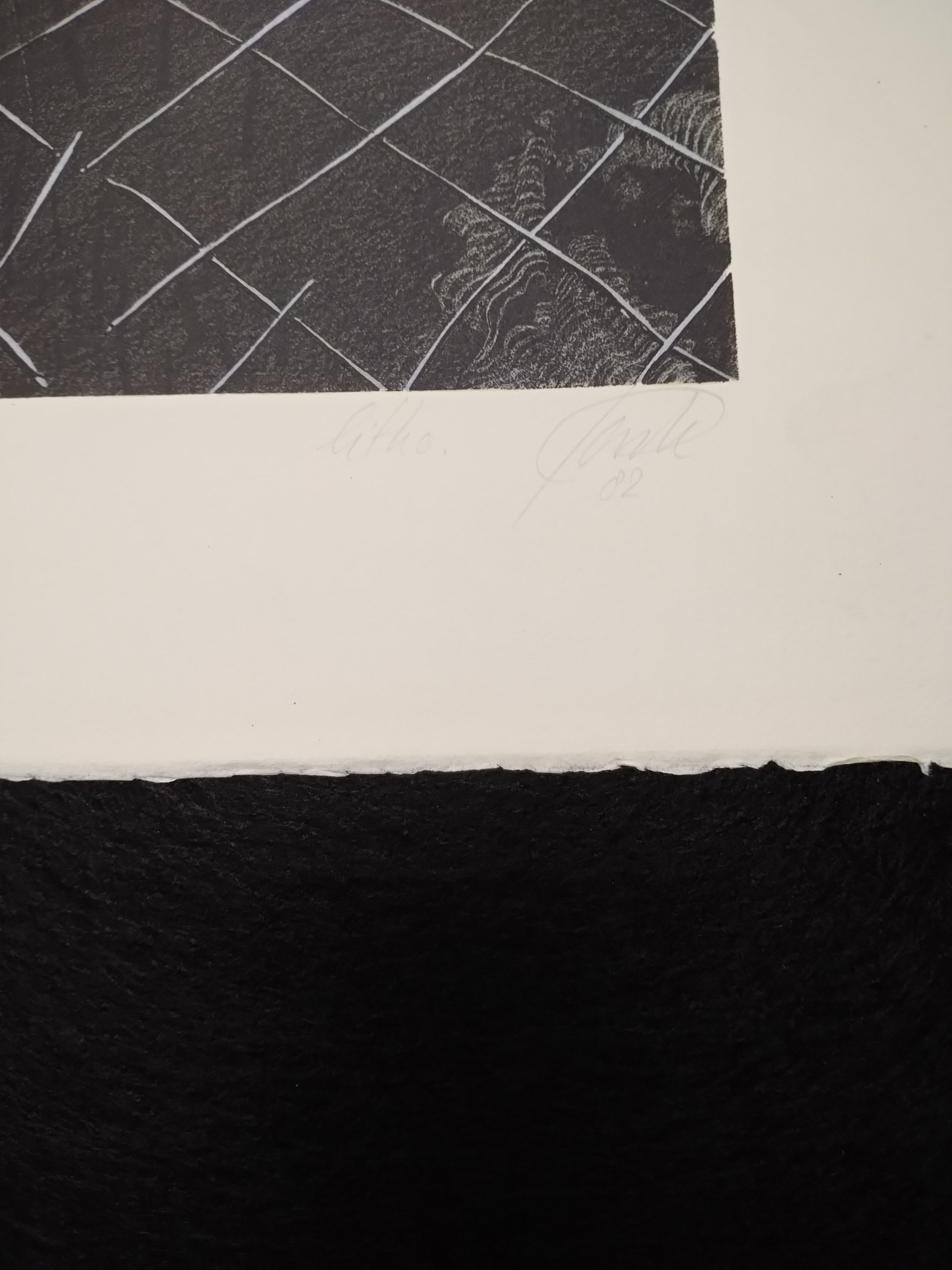 Wim Jonkman - Hindernis kopen? Bied vanaf 35!