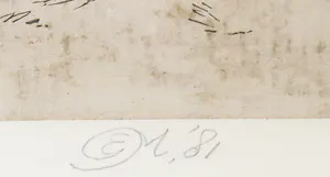 Ed Merk - Collage, Een zwerm - Ingelijst kopen? Bied vanaf 1!