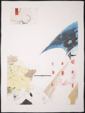 Trees Klijn - Ets, Cocodreams and female blues III kopen? Bied vanaf 1!