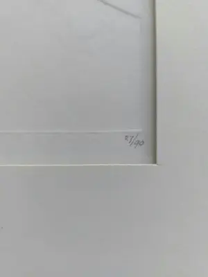 Harry van Kuyk - Handgesigneerde reliëfdruk/prägedruk | Zonder titel kopen? Bied vanaf 100!