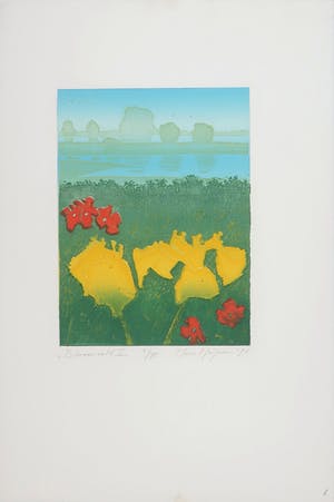 Hans Heijman - Kleurenets, Bloemenveld I kopen? Bied vanaf 1!