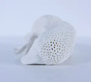 Kathja Smits - Porselein, Papegaai kopen? Bied vanaf 100!