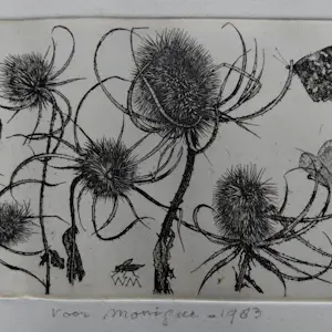 Buy Willem Minderman - Kaardebol met vlinders - Ets - Handgesigneerd? Bid from 20!