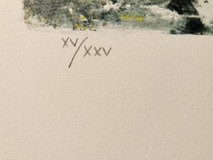 Bernard Charoy - Poetic Country Side kopen? Bied vanaf 35!