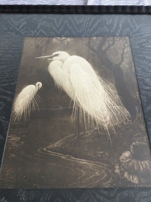 Henri Verstijnen - Twee Zilverreigers | Houtsnede van rond 1925 - ingelijst kopen? Bied vanaf 49!