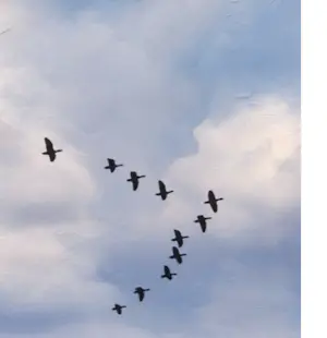 Mr Strange - De Vlucht (III) kopen? Bied vanaf 85!