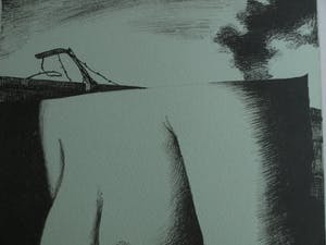 Nicolaas Wijnberg - Litho , Borsten – bijlage tijdschrift Petit No 4 - 1980 kopen? Bied vanaf 30!