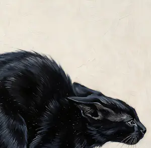 Mr Strange - De zwarte kat kopen? Bied vanaf 85!