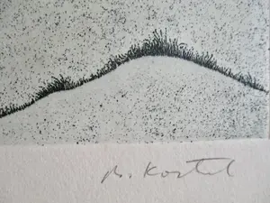 Niet of onleesbaar gesigneerd - 11 etsen div. kunstenaars oa Lehmann Cabell Harris Kirchgaesser kopen? Bied vanaf 1!