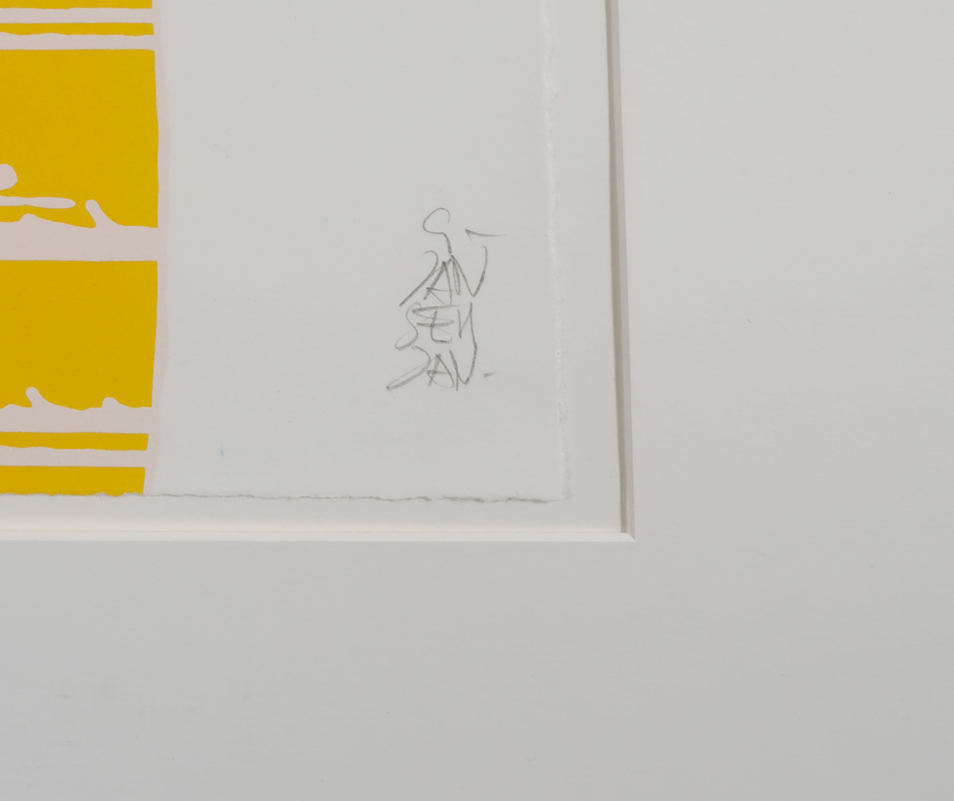 Geert Jan Jansen - Desert Tree 01 - Ingelijst (Groot) kopen? Bied vanaf 80!