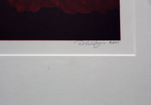 Hans Dolieslager - ingelijste zeefdruk: Dutch Glory II - 2001 (mooie houten lijst!) kopen? Bied vanaf 55!