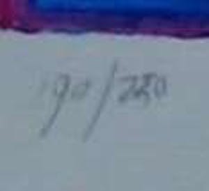 Clemens Briels - ingelijste zeefdruk: Got the bibs... - 2000 kopen? Bied vanaf 145!