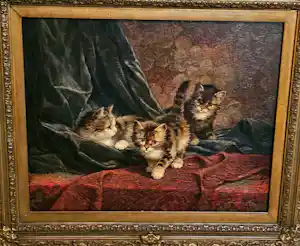 Cornelis Raaphorst - Kittens verkocht voor € 1000!