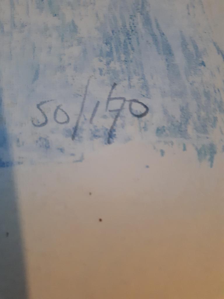 Gerard 't Hart - Shamaan 1 kopen? Bied vanaf 5!