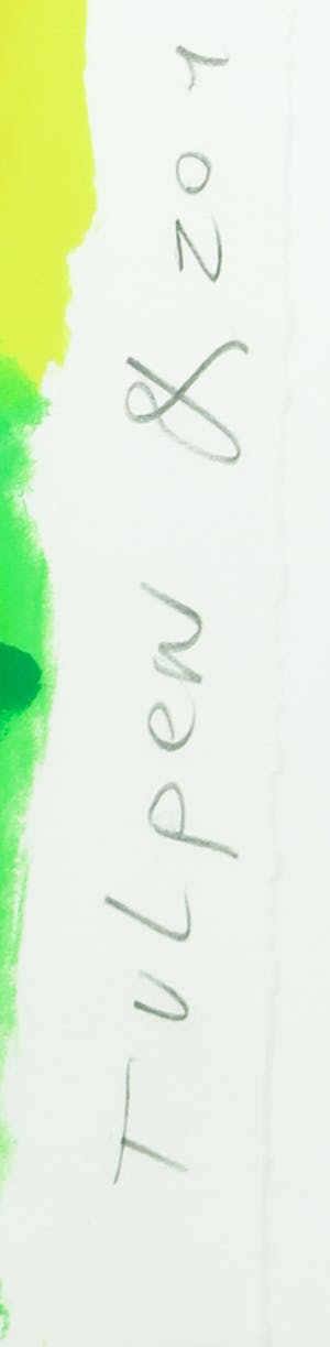 Cees Dolk - Zeefdruk, Tulpen & Zo 1 - Ingelijst kopen? Bied vanaf 20!