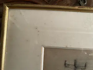 Dries van den Broeck - Straatzicht-landschap kopen? Bied vanaf 40!