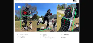 Artur Bordalo II - The Ninja kopen? Bied vanaf 4000!
