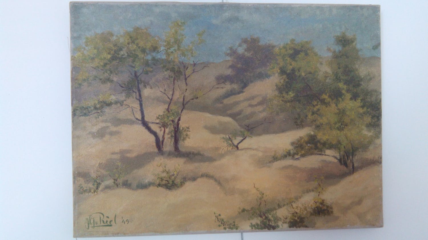 Jan van Riel - Duinlandschap Verkocht | Kunstveiling.nl