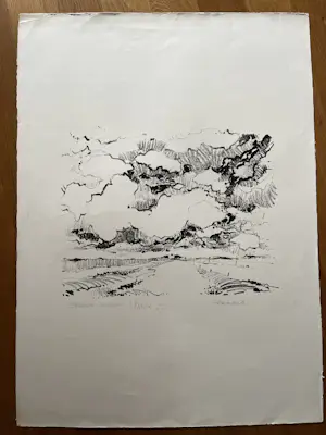 Jan Homan - FRIESLAND kopen? Bied vanaf 35!