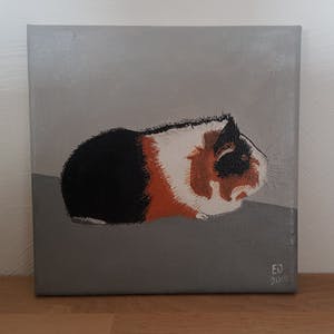 Niet of onleesbaar gesigneerd - Cavia Nicky kopen? Bied vanaf 1!